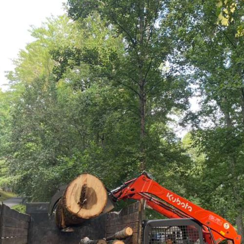 WhatsApp-Image-2026-02-09-at-11.14.30-AM-6-1-225x300 copia