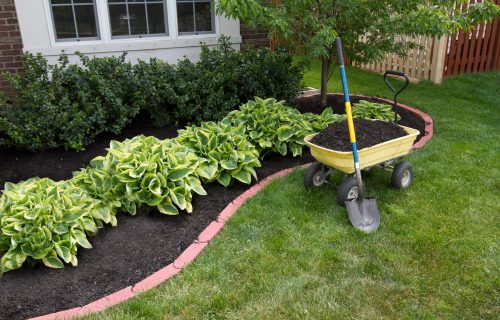 landscaping services